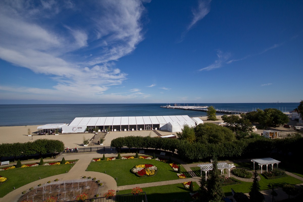 efni_2015_00039_m