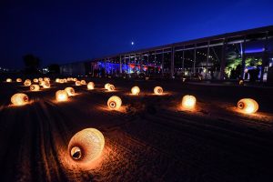 gala_(1036)_m