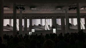 IMG_8798