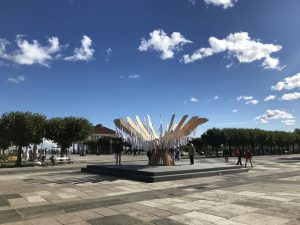 19_IMG_5825