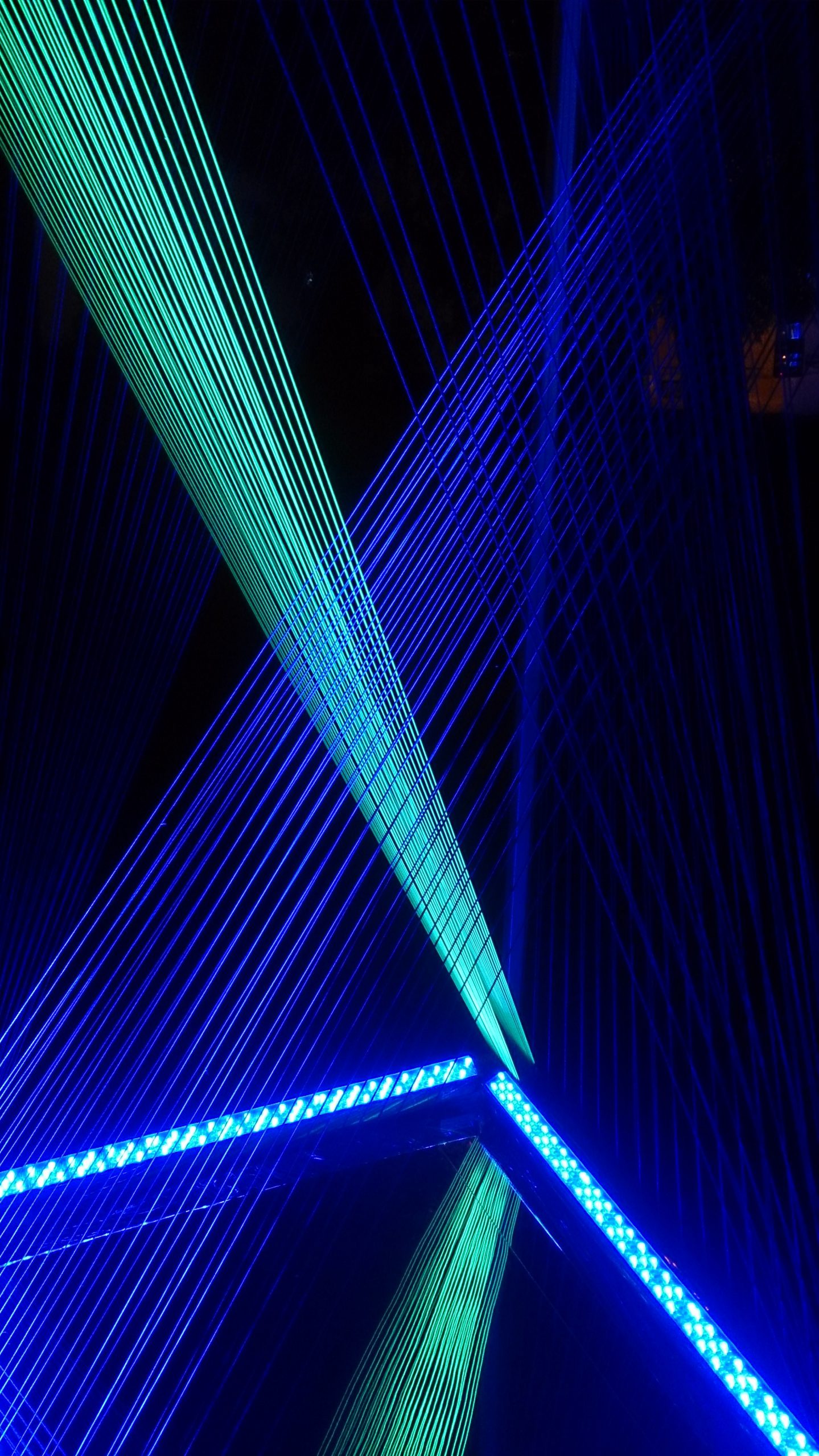 DSC_0442