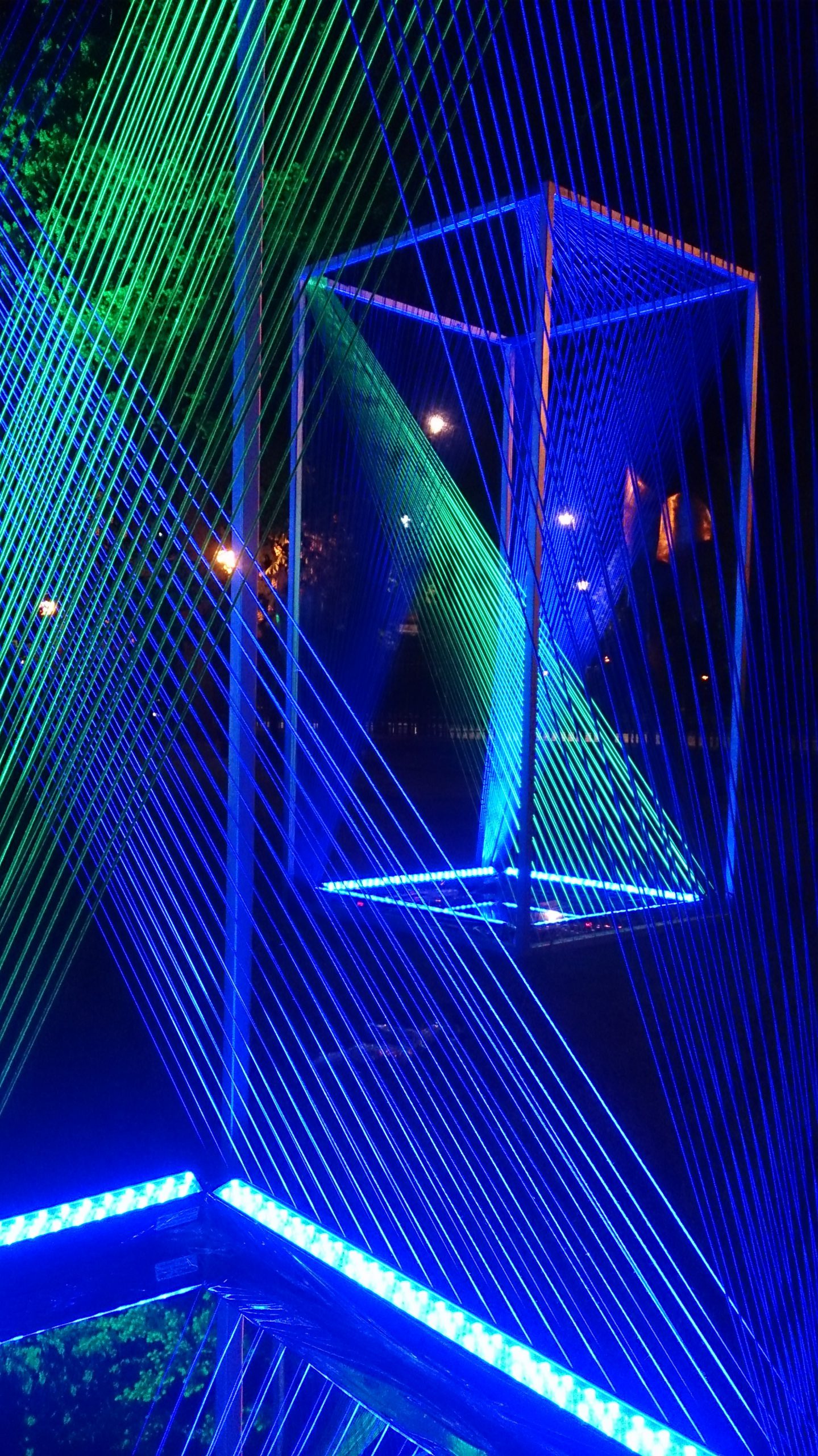 DSC_0446