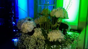 DSC_0523_edited