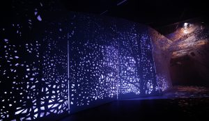 IMG_1386