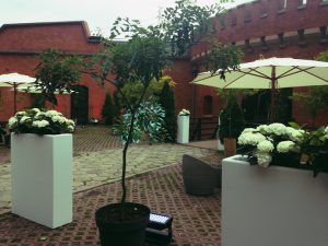IMG_1141_edited